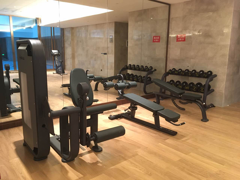 酒店健身房器材,室内健身器材,高端商用健身器材-广西米兰tiyu健身器材有限公司